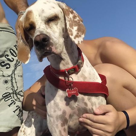 تشيزينا B&B Borgo Del Priolo - Petfriendly المظهر الخارجي الصورة
